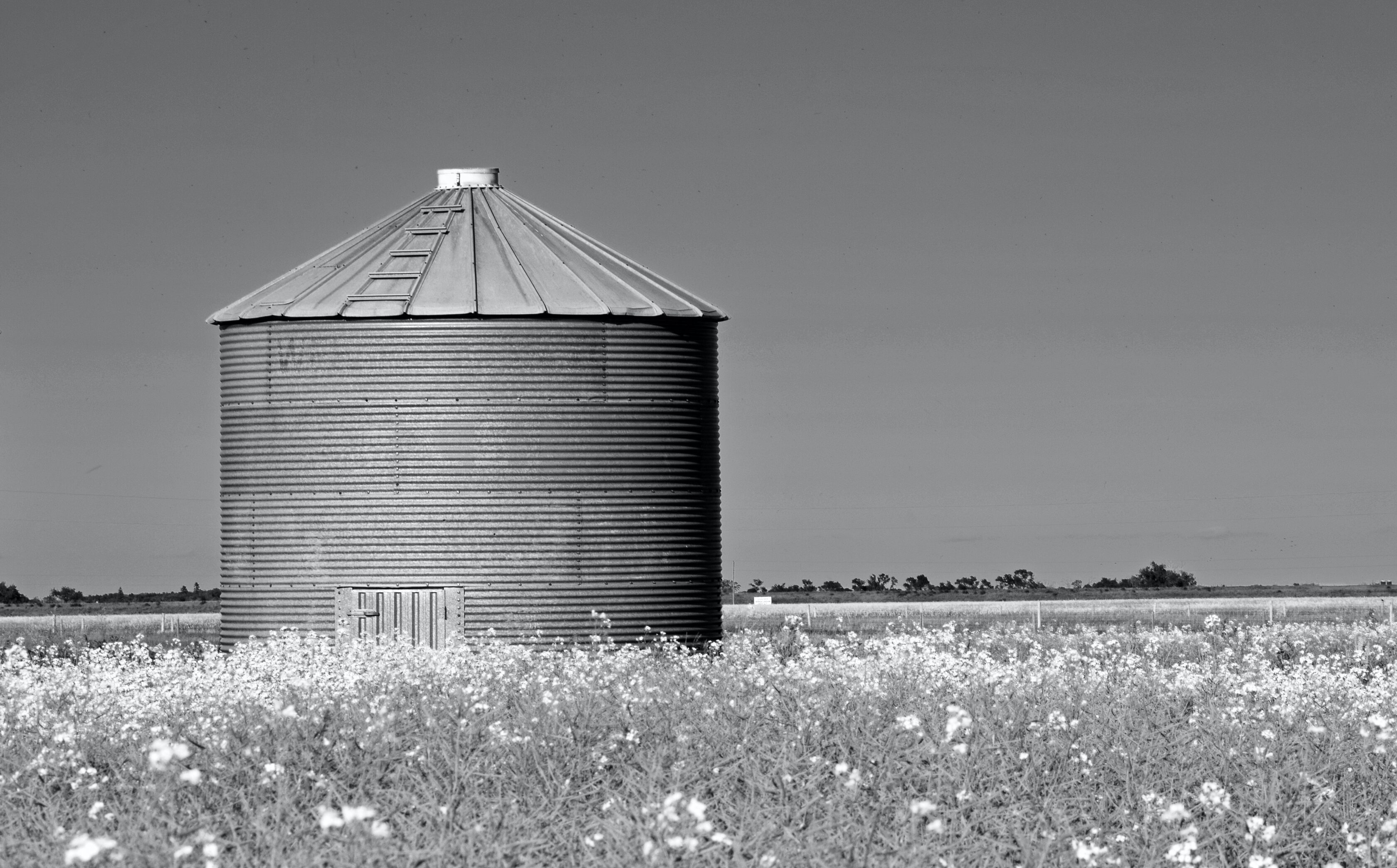 A silo stands alone in a field.