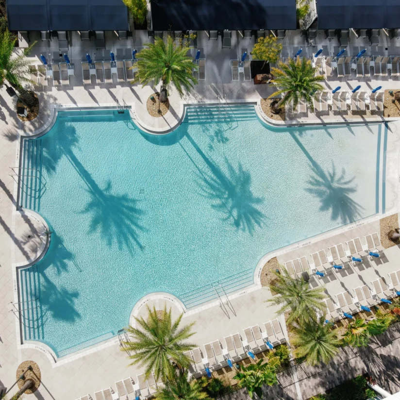Aerial view of a rectangular outdoor swimming pool surrounded by palm trees, lounge chairs, and umbrellas on a tiled deck.