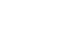 Googe logo.